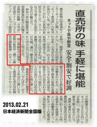 nikkei20130221.jpg