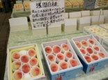 2011_0721ももなど 003.jpg