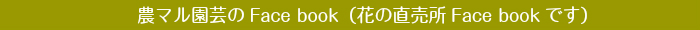 フェイスブックページバナー花の7直売所.jpg