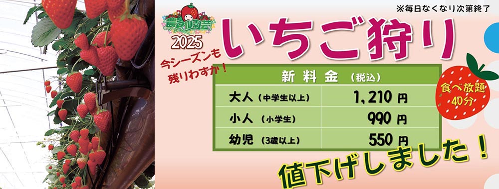 いちご狩り