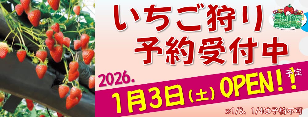 いちご狩り