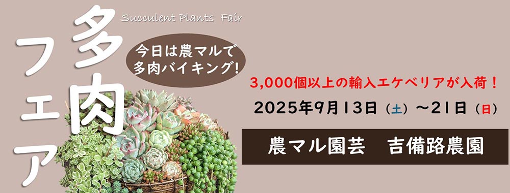 多肉フェア